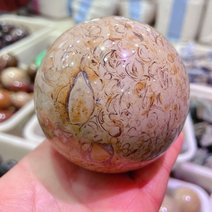 Dinosaur Bone Fossil Crystal Sphere