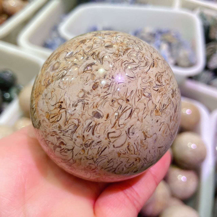 Dinosaur Bone Fossil Crystal Sphere