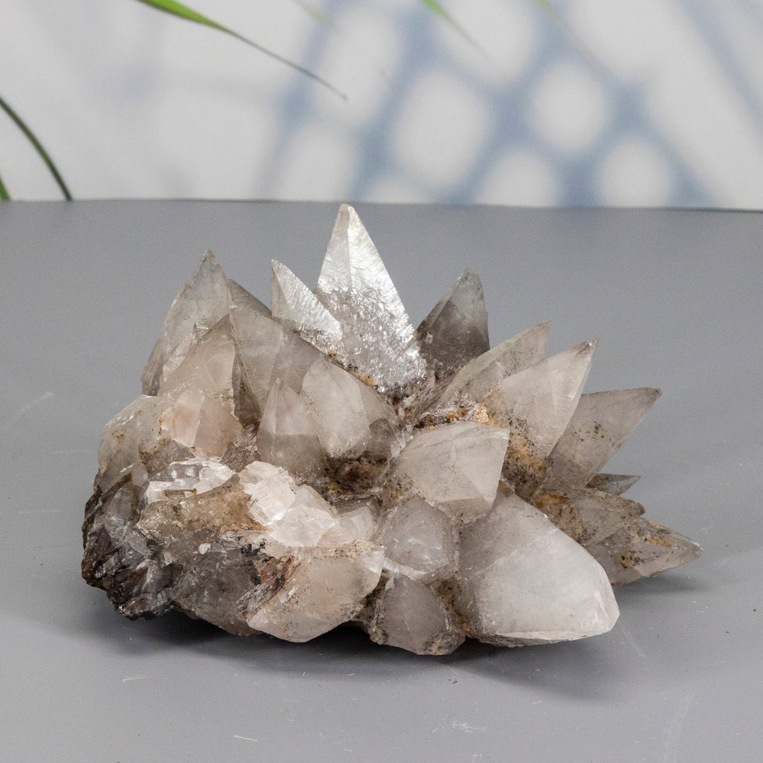"Dog Tooth" Calcite Cluster-Clusters-Crystal Destiny-Dog Tooth Calcite-756g - 4.50"l x 4.00"W x 3.00H-Crystal Destiny