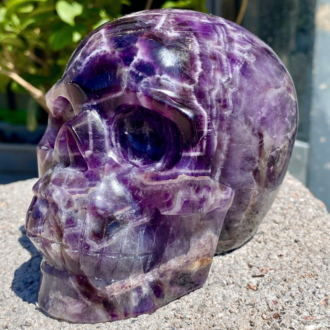 Dream Amethyst Carved Skull