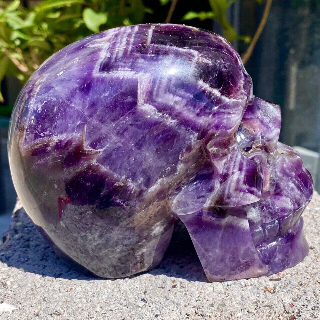 Dream Amethyst Carved Skull