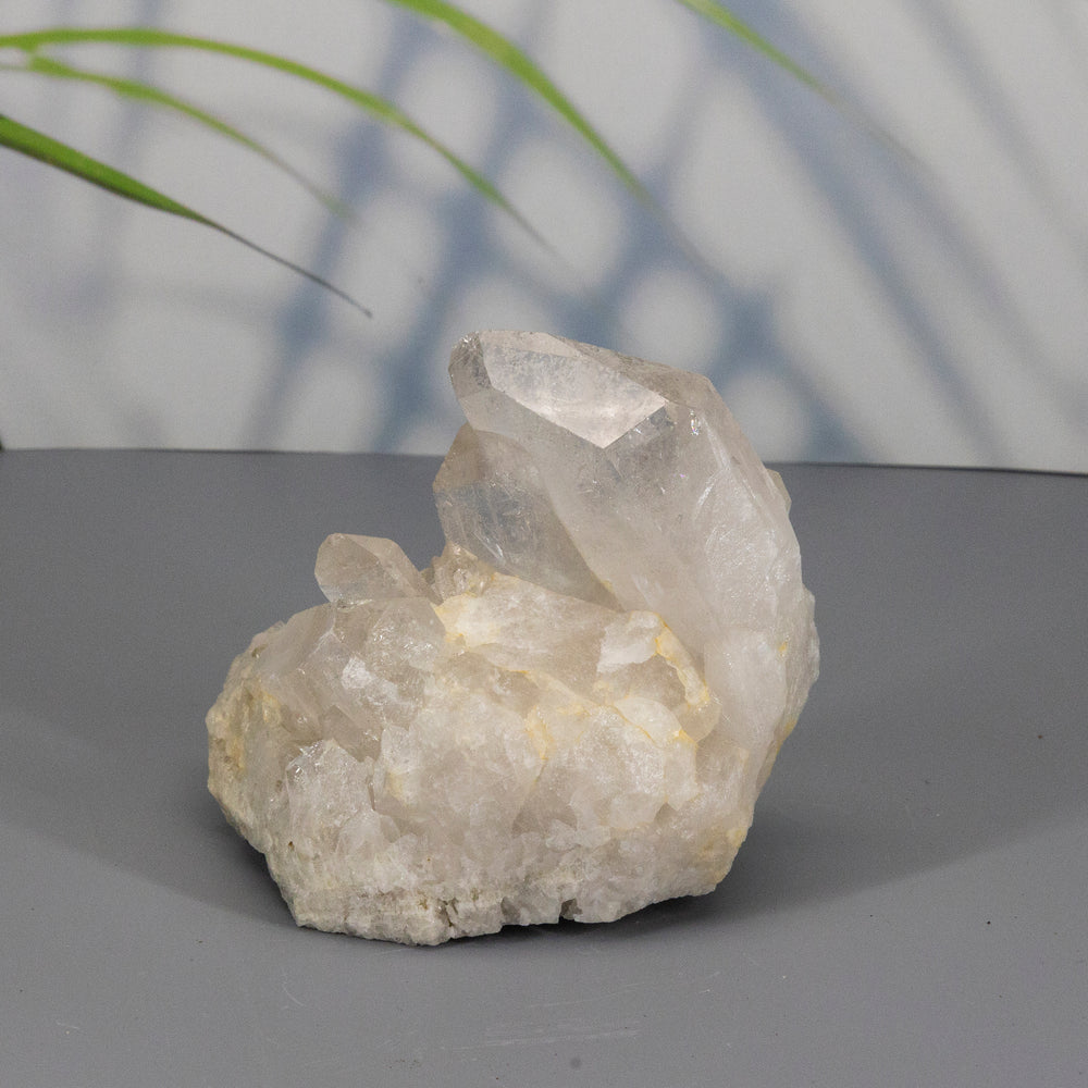Exceptional Clear Quartz Cluster-Clusters-Crystal Destiny-Clear Quartz-684g - 4.00L x 3.50W x4.00H-Crystal Destiny