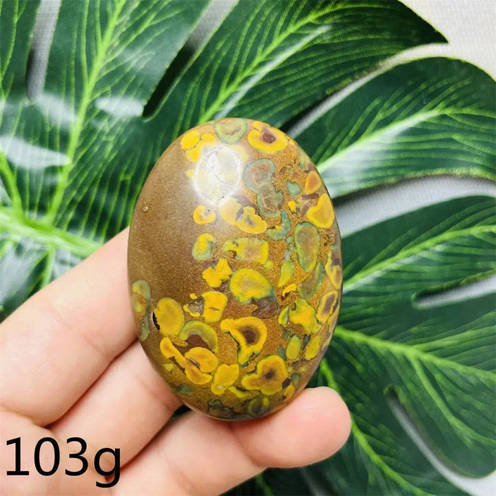 Fruit Jasper Palmstone