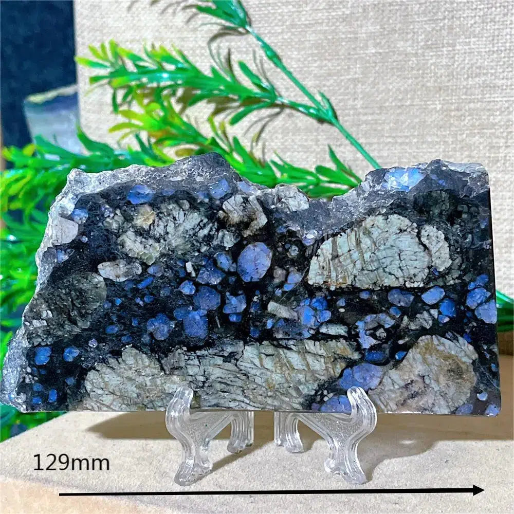 Glaucophane Slice