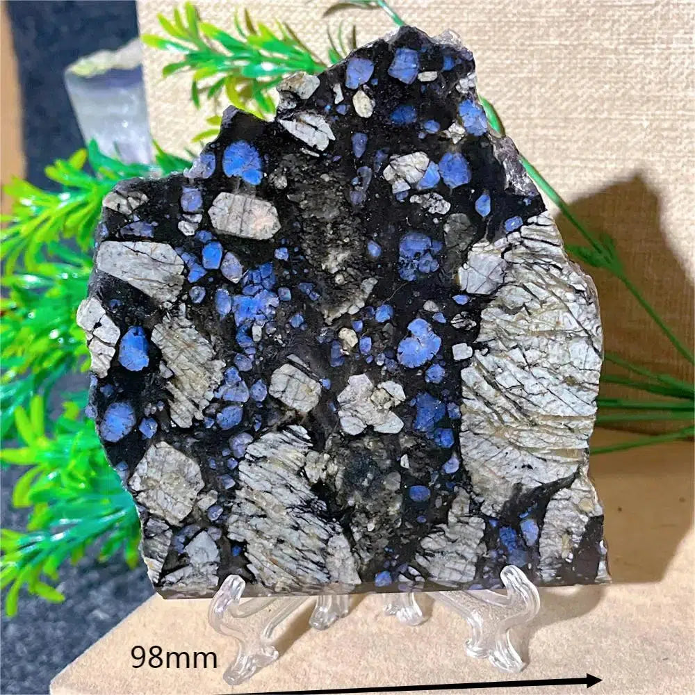 Glaucophane Slice