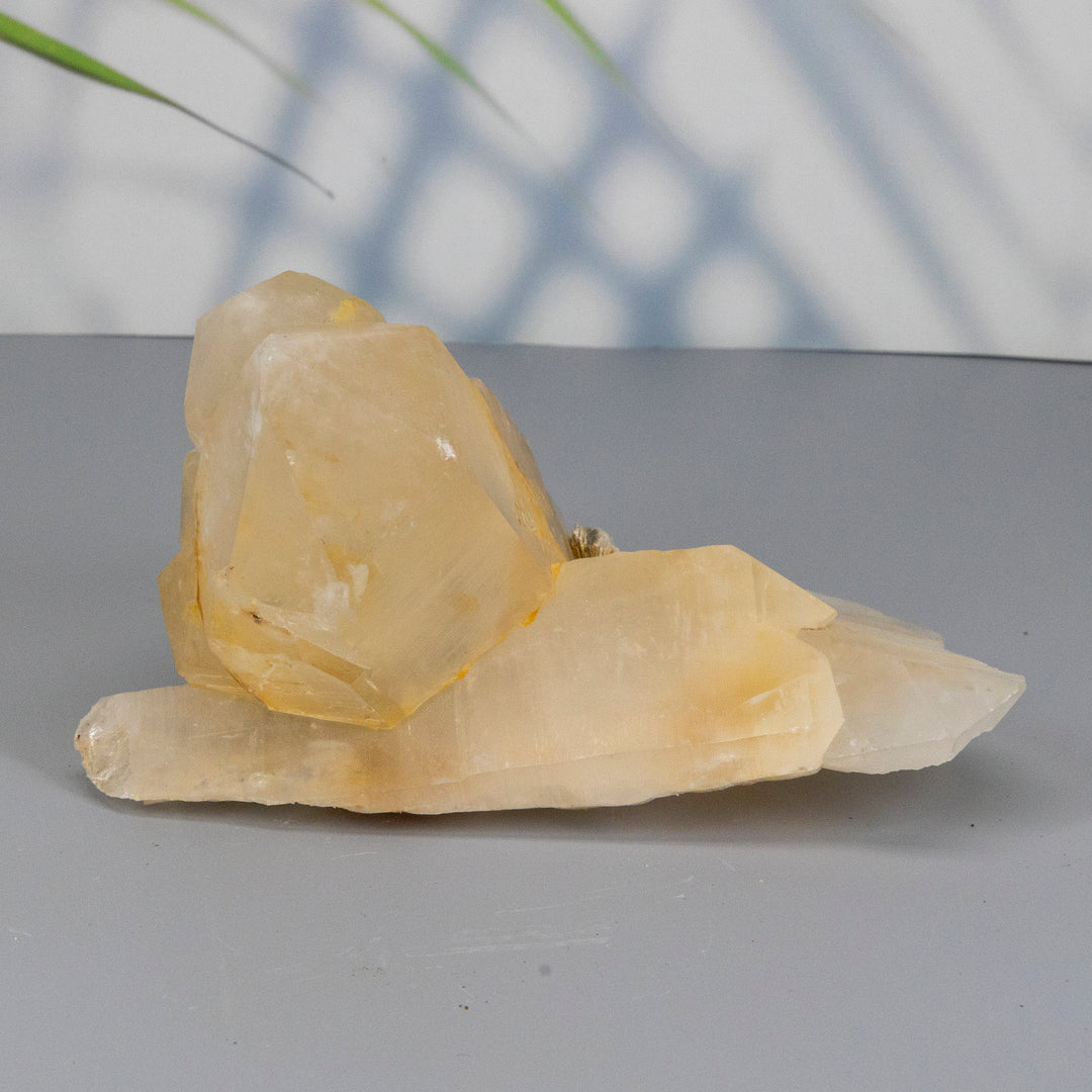 Golden Healer Quartz Cluster with Mica and Black Tourmaline Inclusions-Clusters-Crystal Destiny-Golden Healer Quartz-866g - 6.00"L x 4.00" W x 3.35"H-Crystal Destiny