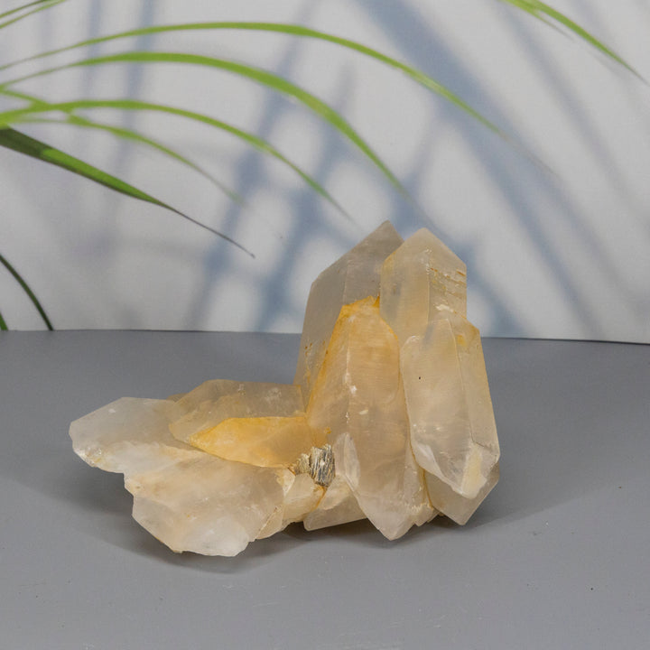 Golden Healer Quartz Cluster with Mica and Black Tourmaline Inclusions-Clusters-Crystal Destiny-Golden Healer Quartz-866g - 6.00"L x 4.00" W x 3.35"H-Crystal Destiny