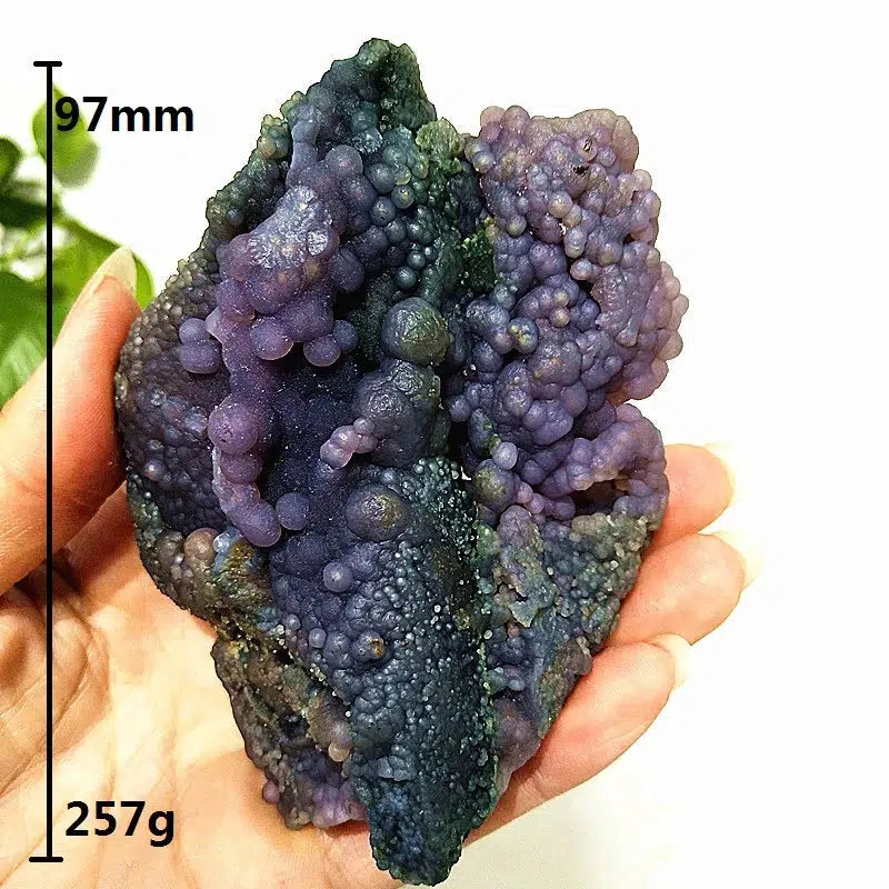 Grape Agate Crystal Cluster