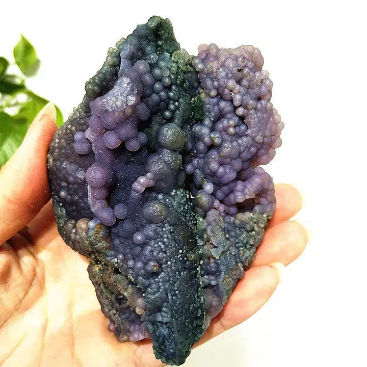 Grape Agate Crystal Cluster