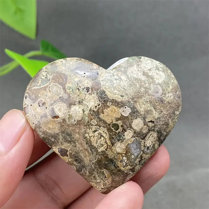 Green Cherry Agate Heart Crystal-Hearts-Ali-Green Cherry Agate-13 67g-Crystal Destiny