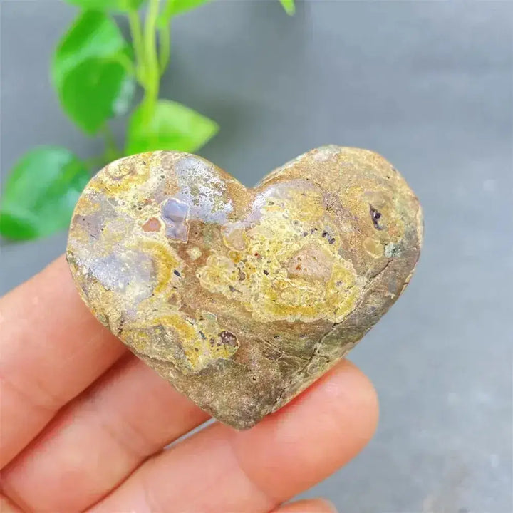 Green Cherry Agate Heart Crystal for Emotional Healing and Harmony-Hearts-Ali-Green Cherry Agate-21 56g-Crystal Destiny