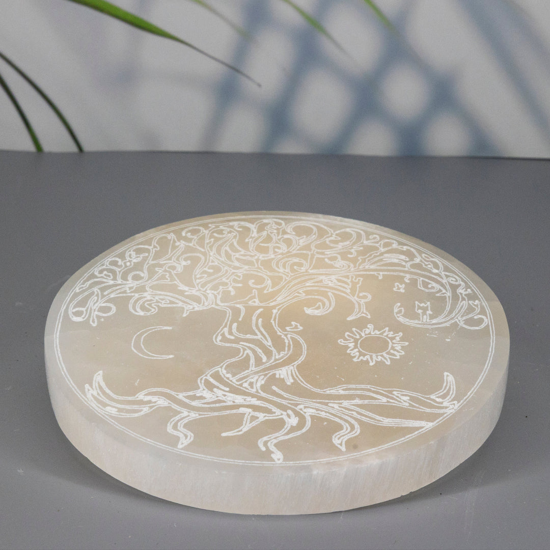 Heavy Selenite "Tree of Life" Charging Plate-Slabs-Crystal Destiny-Selenite-714g - 6.00"D x .75"H-Crystal Destiny