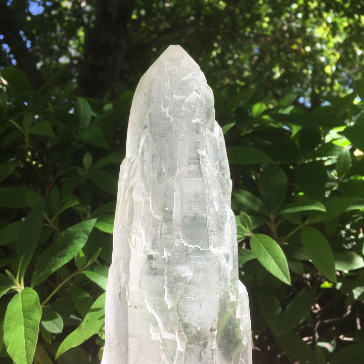 Himalayan Cathedral Quartz Point