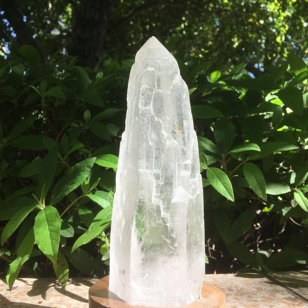 Himalayan Cathedral Quartz Point