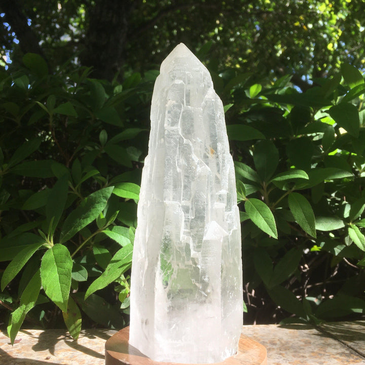 Himalayan Cathedral Quartz Point