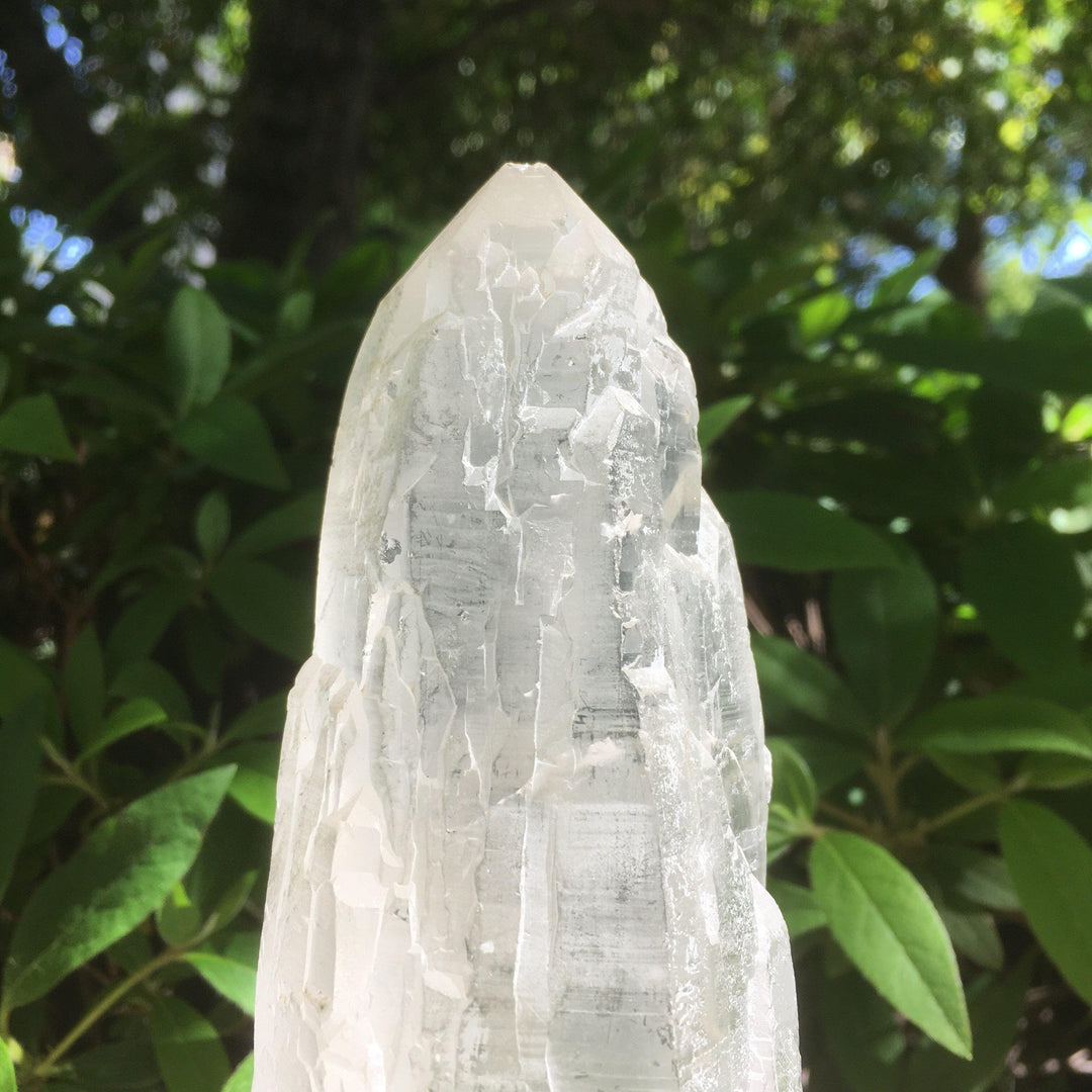 Himalayan Cathedral Quartz Point