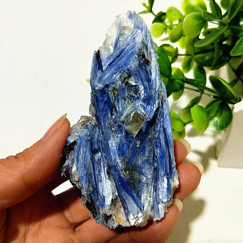 Kyanite + Quartz Crystal Raw Cluster