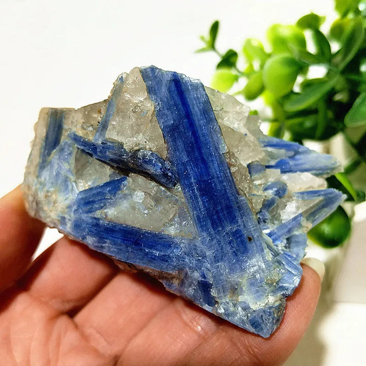 Kyanite + Quartz Crystal Raw Cluster