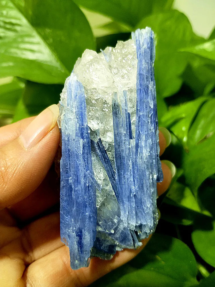 Kyanite + Quartz Crystal Raw Cluster