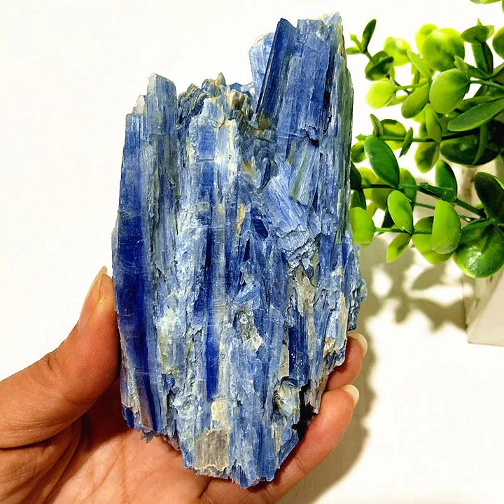 Kyanite + Quartz Crystal Raw Cluster