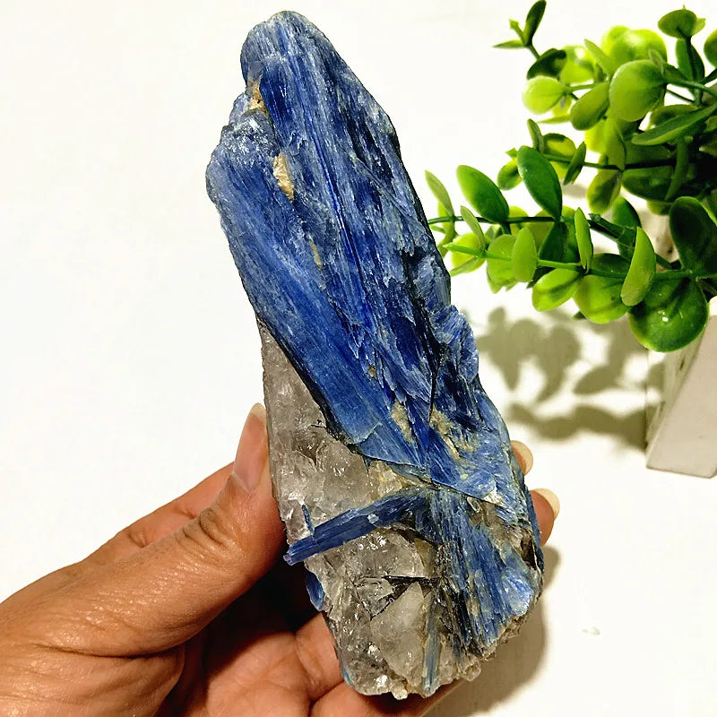 Kyanite + Quartz Crystal Raw Cluster