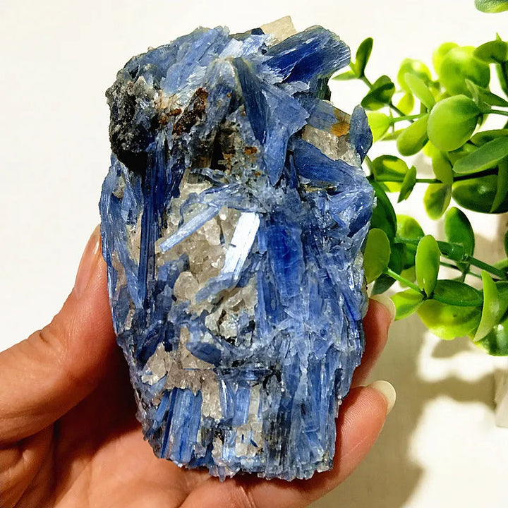 Kyanite + Quartz Crystal Raw Cluster