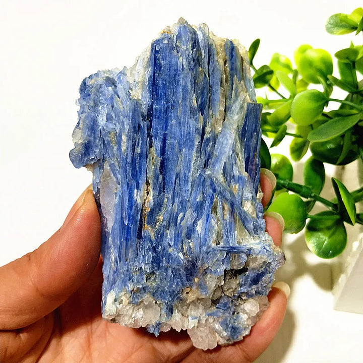 Kyanite + Quartz Crystal Raw Cluster