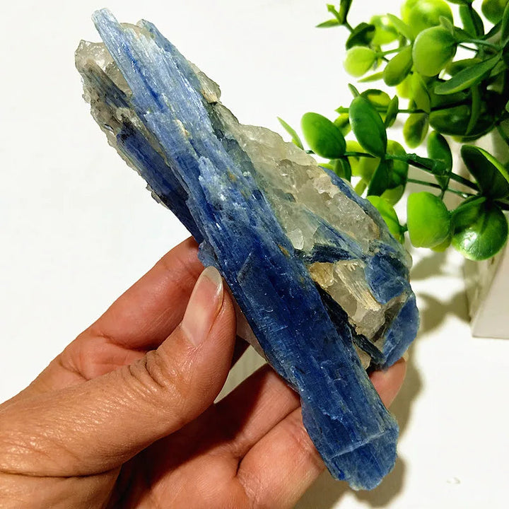 Kyanite + Quartz Crystal Raw Cluster