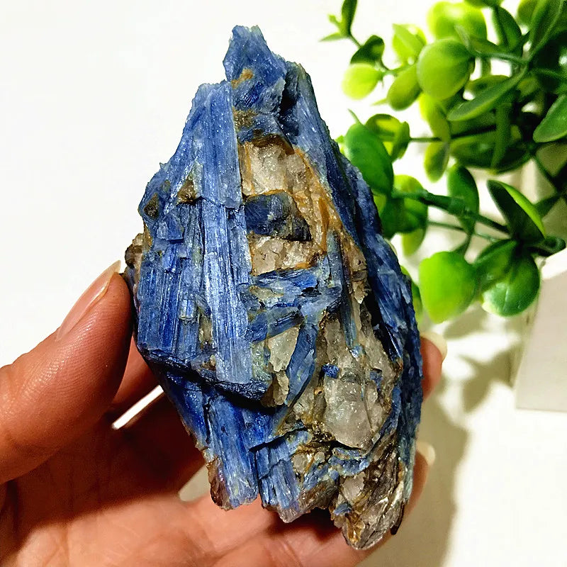 Kyanite + Quartz Crystal Raw Cluster