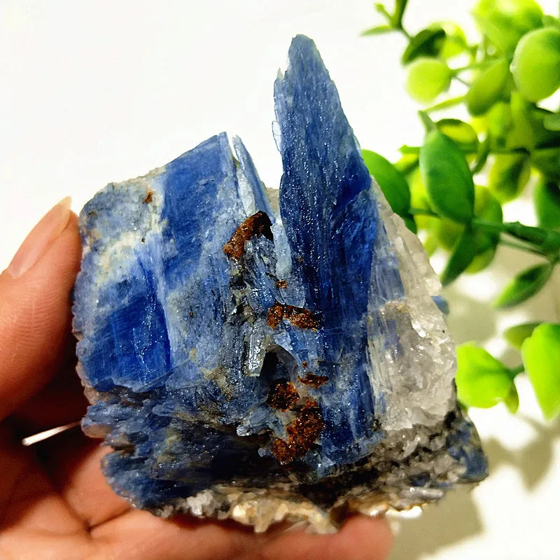 Kyanite + Quartz Crystal Raw Cluster