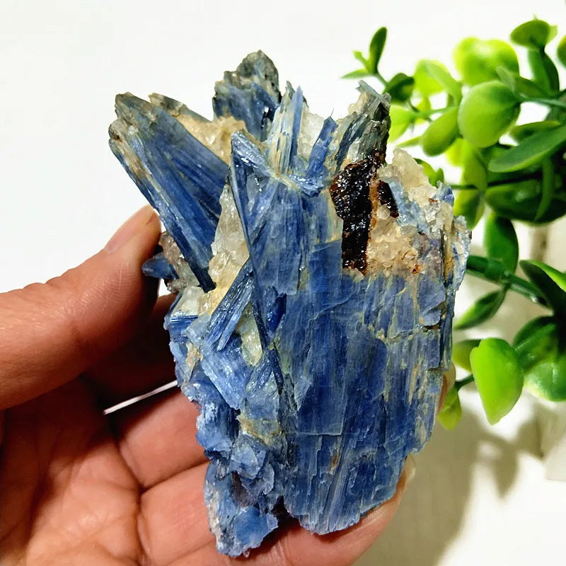 Kyanite + Quartz Crystal Raw Cluster