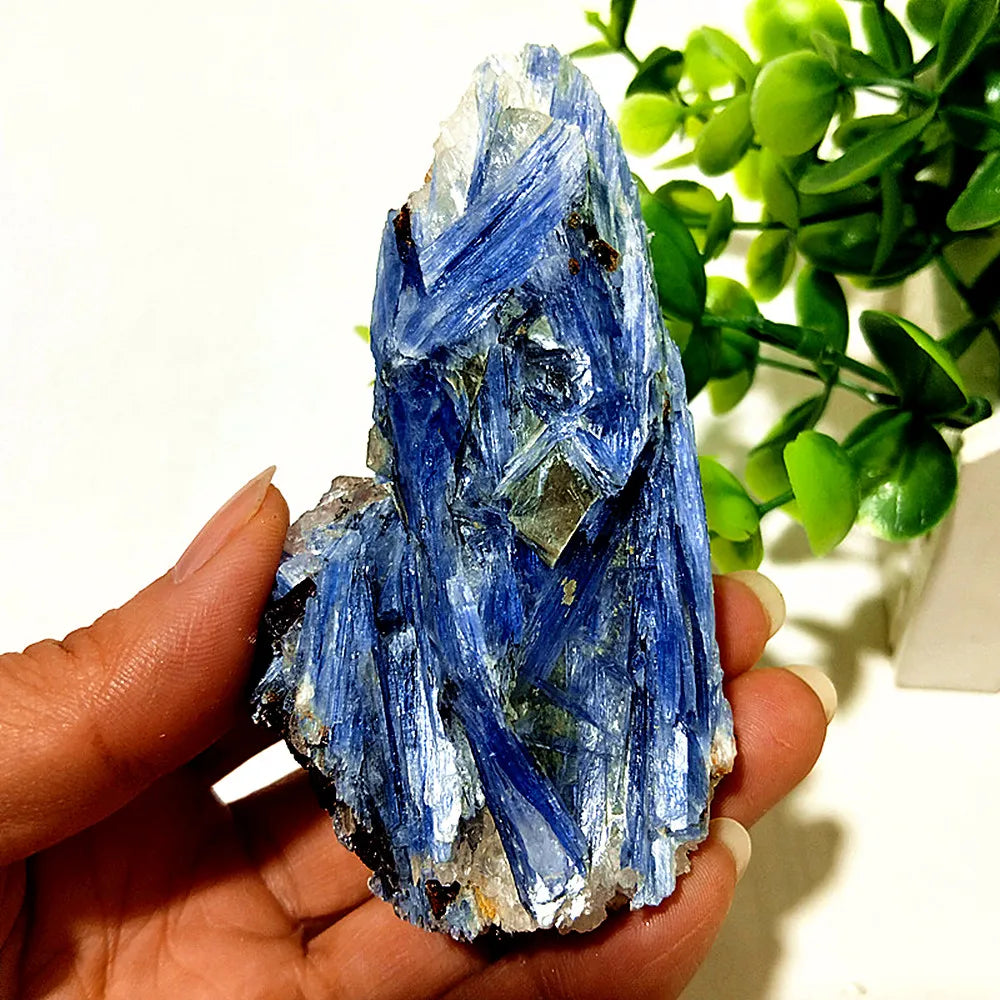 Kyanite + Quartz Crystal Raw Cluster