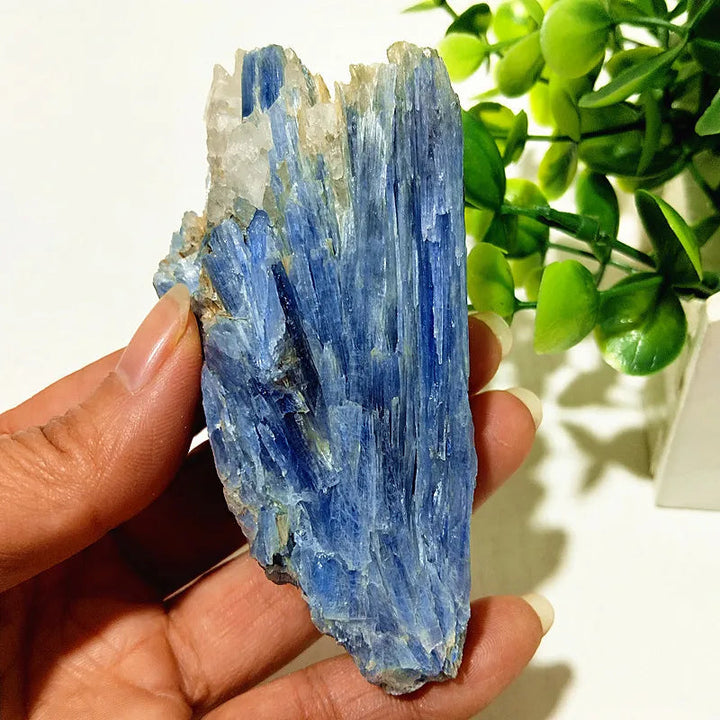 Kyanite + Quartz Crystal Raw Cluster