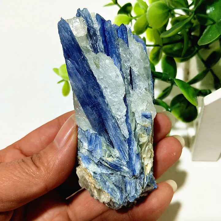 Kyanite + Quartz Crystal Raw Cluster