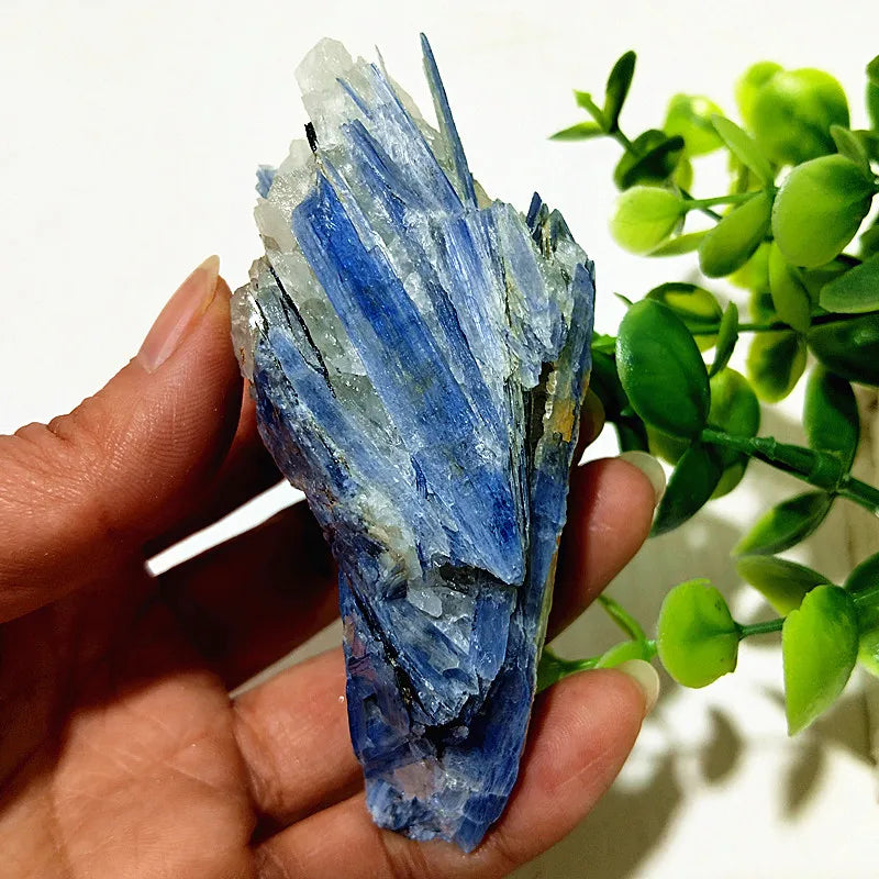 Kyanite + Quartz Crystal Raw Cluster