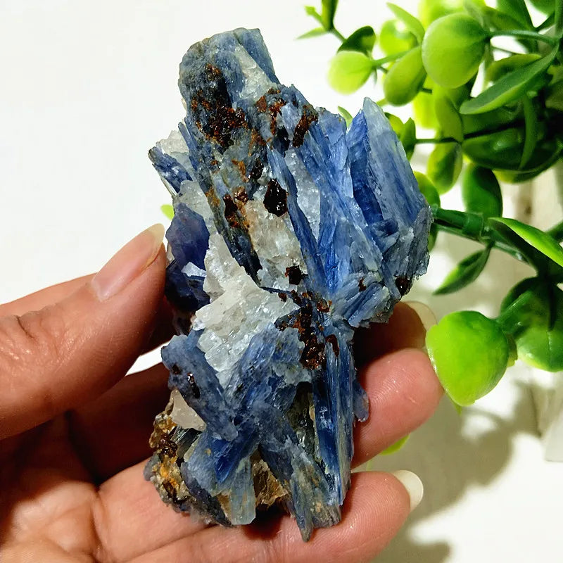 Kyanite + Quartz Crystal Raw Cluster