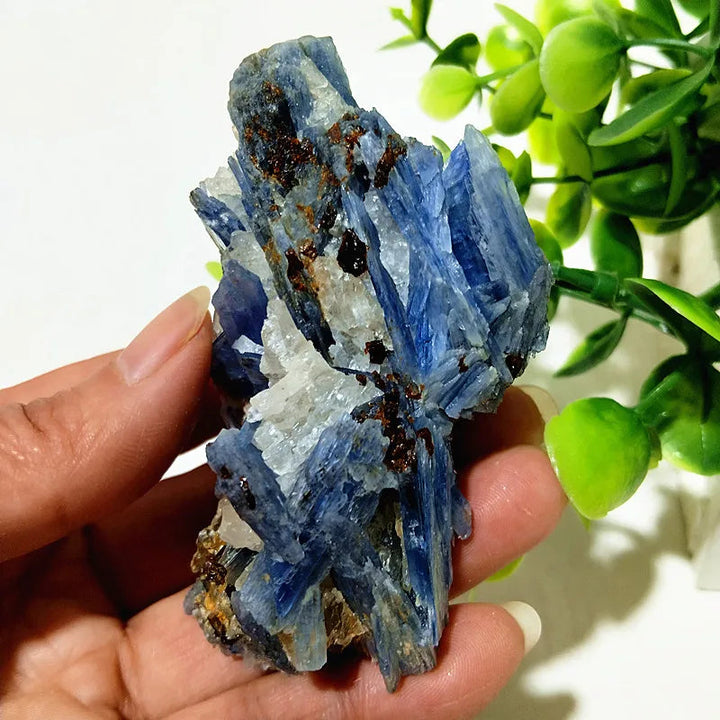 Kyanite + Quartz Crystal Raw Cluster