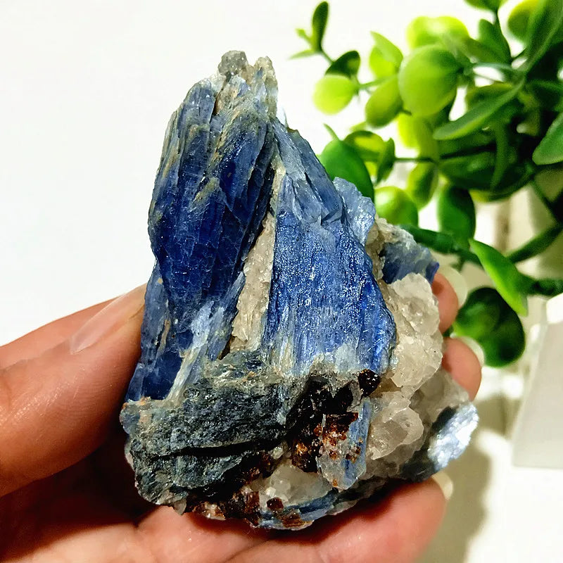 Kyanite + Quartz Crystal Raw Cluster