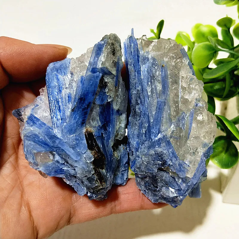 Kyanite + Quartz Crystal Raw Cluster