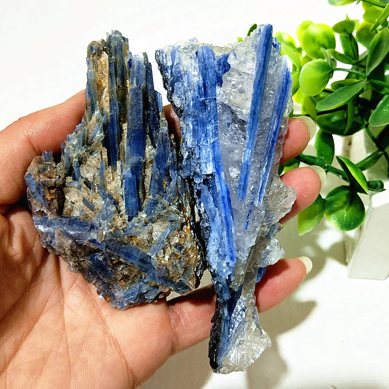 Kyanite + Quartz Crystal Raw Cluster