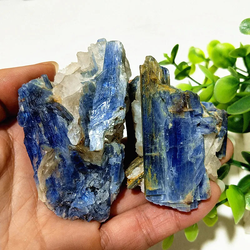 Kyanite + Quartz Crystal Raw Cluster