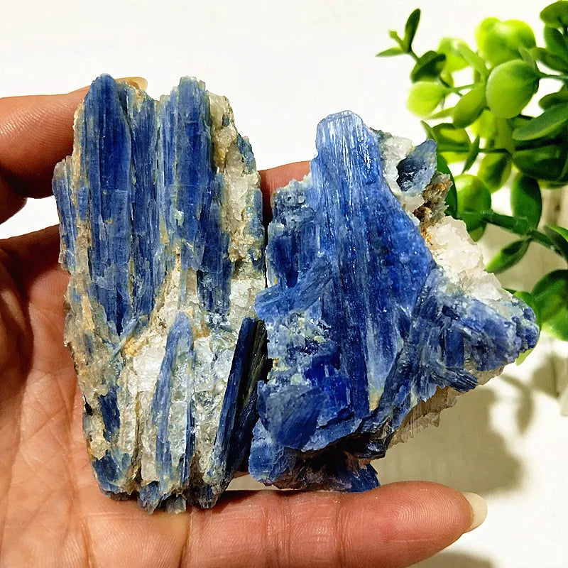 Kyanite + Quartz Crystal Raw Cluster