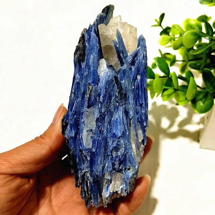 Kyanite + Quartz Crystal Raw Cluster