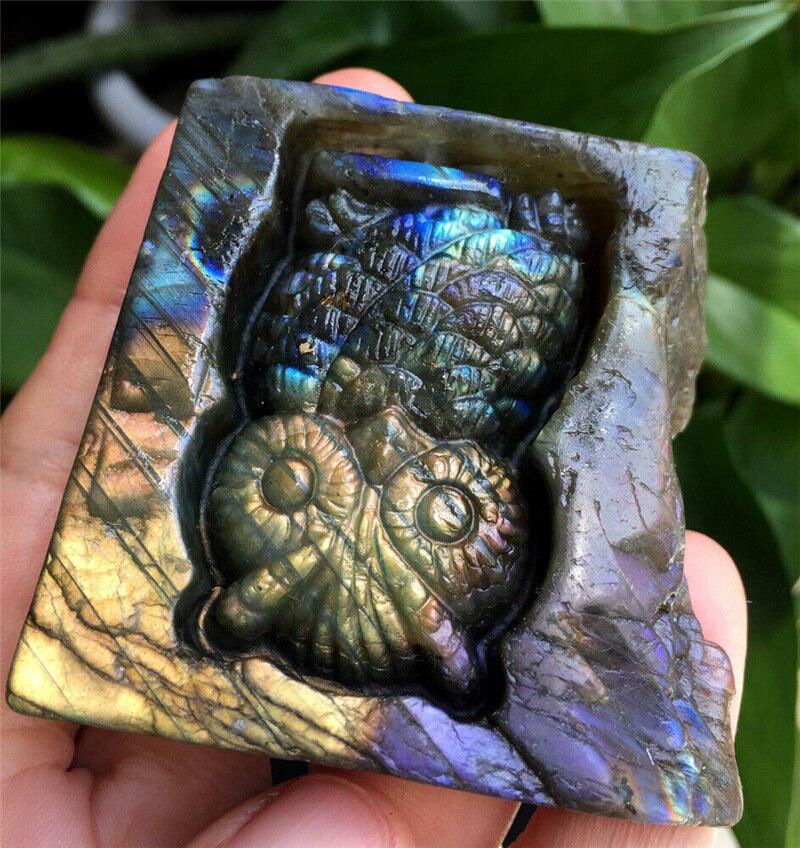 Labradorite Carved Owl