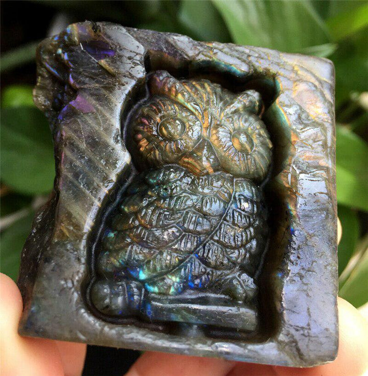 Labradorite Carved Owl