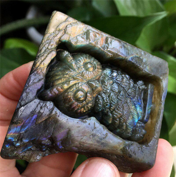 Labradorite Carved Owl