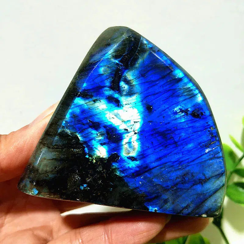 Labradorite Crystal Freeform