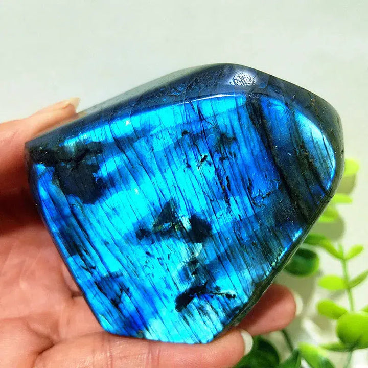 Labradorite Crystal Freeform