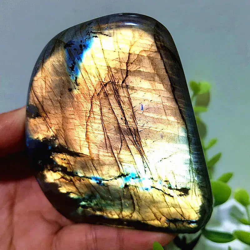 Labradorite Crystal Freeform