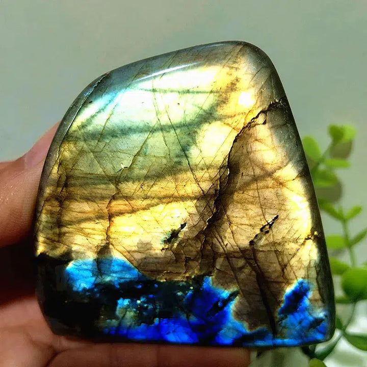 Labradorite Crystal Freeform